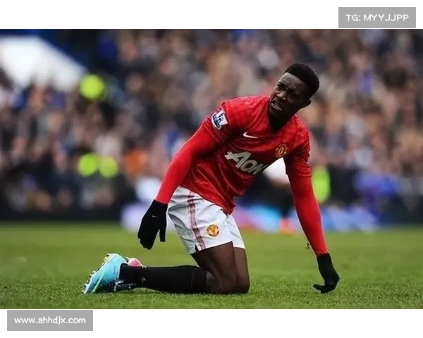 探寻以维尔贝克黑贝称号的起源及其深远文化象征意义